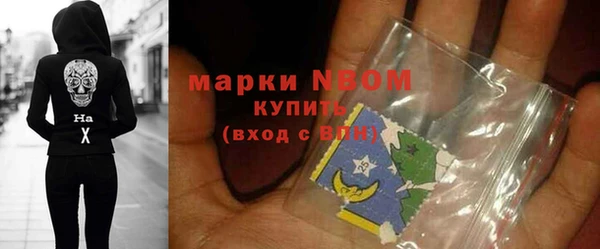 бошки Инта