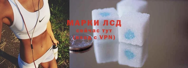 тгк Каменка