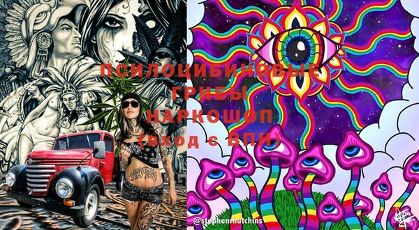 PSILOCYBIN Иннополис