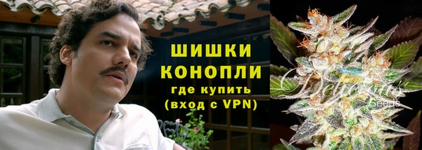 ГАЛЛЮЦИНОГЕННЫЕ ГРИБЫ Зеленодольск