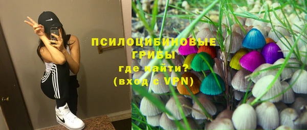 PSILOCYBIN Иннополис