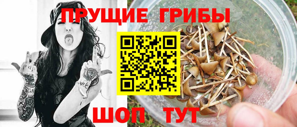 Псилоцибиновые грибы прущие грибы  Псилоцибиновые грибы Magic Shrooms  Вход с VPN  где купить наркоту  Кинешма 