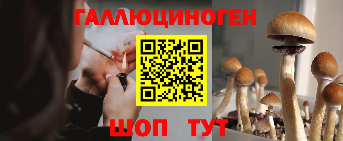 Псилоцибиновые грибы ЛСД Кинешма