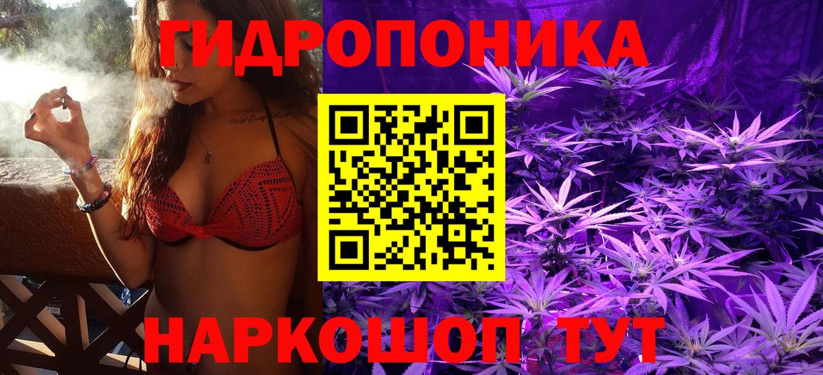 Марихуана AK-47  Каннабис тримм  Марихуана сатива  Вход с VPN  Кинешма  Бошки марихуана VHQ 